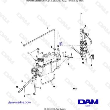 Mercury 125 DFI 1.5L - Fuel System