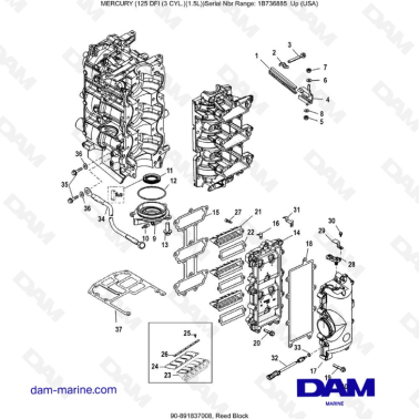 Mercury 125 DFI 1.5L - Reed Block
