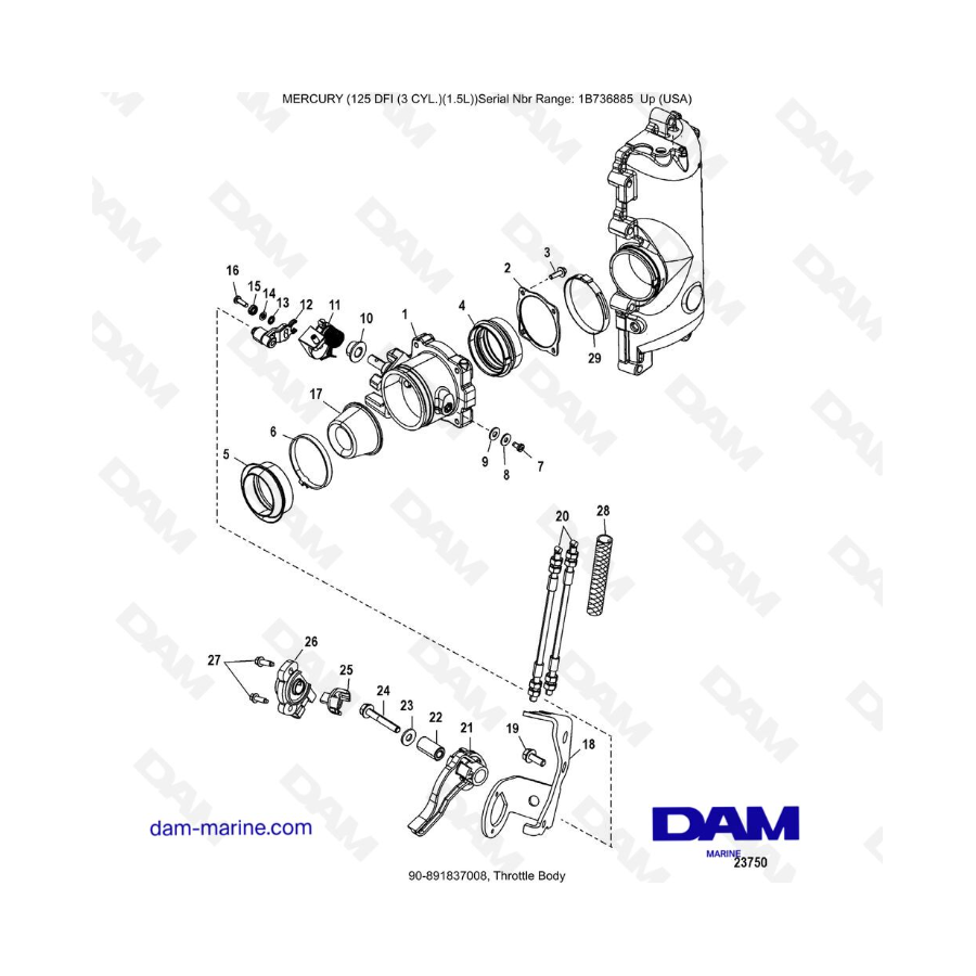 Mercury 125 DFI 1.5L - Throttle Body Mercury 125 DFI 1.5L - Throttle Body