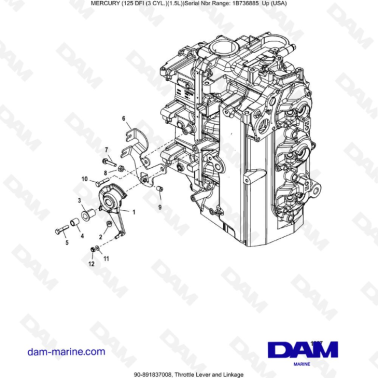 Mercury 125 DFI 1.5L - Throttle Lever and Linkage