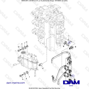 Mercury 125 DFI 1.5L - Vapor Separator/Fuel Rail Mounting