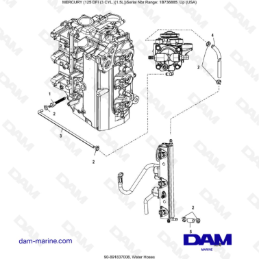 Mercury 125 DFI 1.5L - Water Hoses