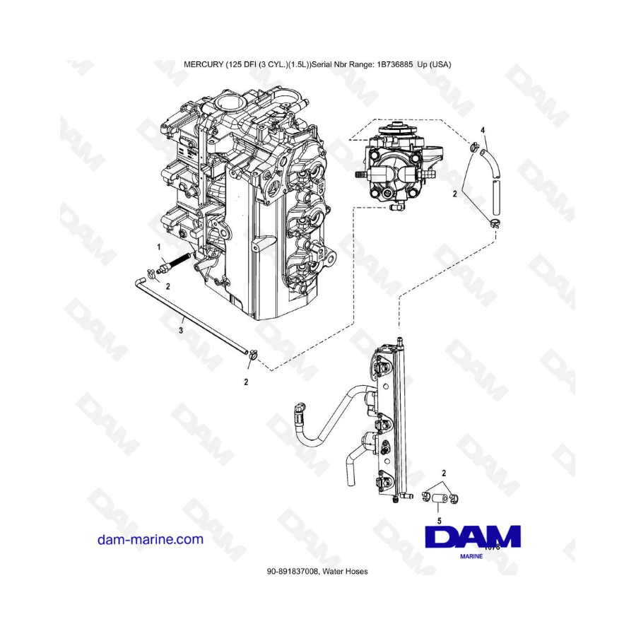 Mercury 125 DFI 1.5L - Water Hoses Mercury 125 DFI 1.5L - Water Hoses