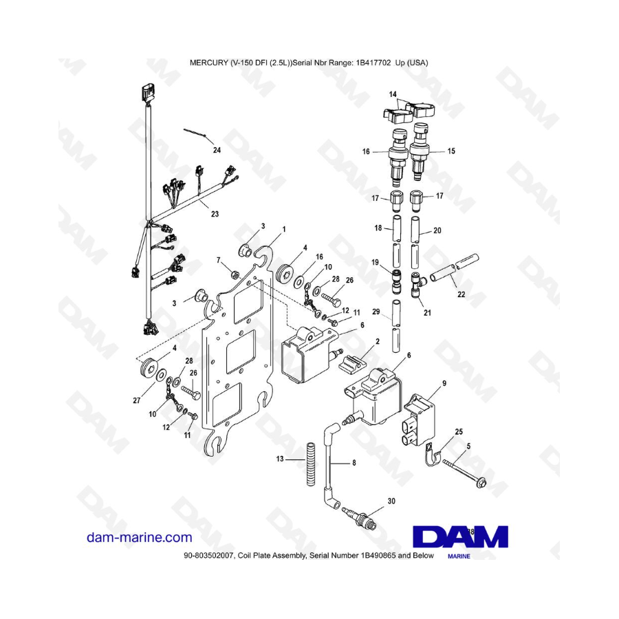 Mercury 150 DFI 2.5L - Conjunto de placa de bobina, número de serie 1B490865 e inferior