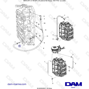 Mercury 150 DFI 2.5L - Oil Lines