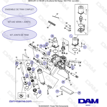 Mercury 150 DFI 2.5L -...