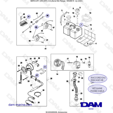 Mercury 250 DFI 3.0L -...