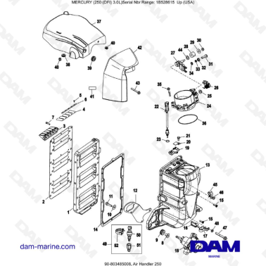 Mercury 250 DFI 3.0L -...