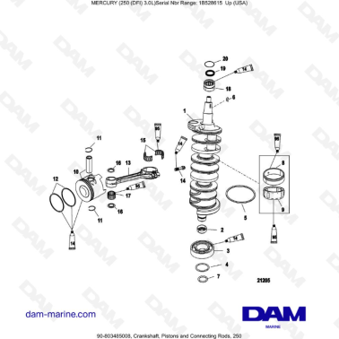 Mercury 250 DFI 3.0L -...