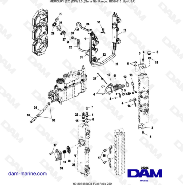 Mercury 250 DFI 3.0L - Fuel Rails 250