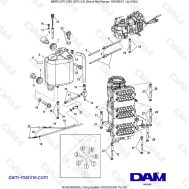 Mercury 250 DFI 3.0L - Oiling System 200/225/200 Pro XS
