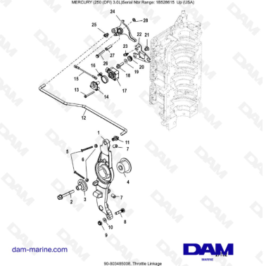 Mercury 250 DFI 3.0L -...
