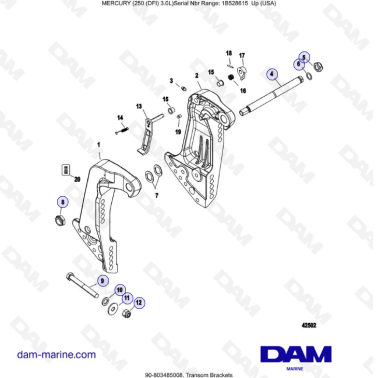 Mercury 250 DFI 3.0L - Transom Brackets