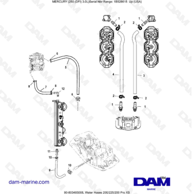 Mercury 250 DFI 3.0L -...