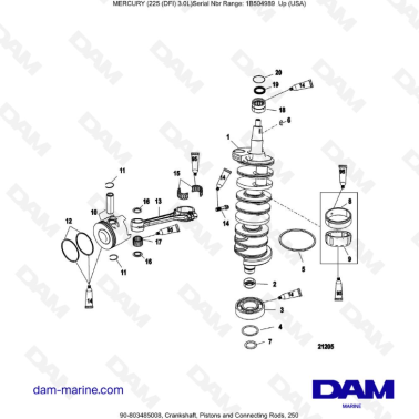 Mercury 225 DFI 3.0L  - Crankshaft, Pistons and Connecting Rods, 250
