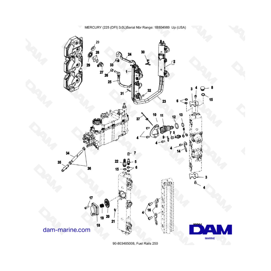 Mercury 225 DFI 3.0L - Fuel Rails 250