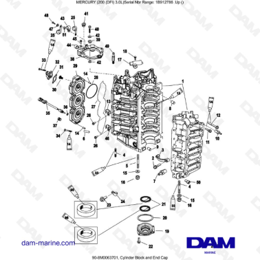 Mercury 200 DFI 3.0L -...