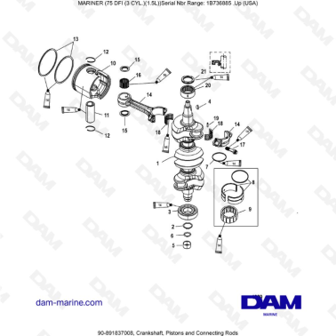Mercury Mariner 75 Optimax - Crankshaft, Pistons and Connecting Rods