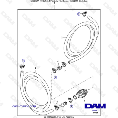 Mercury Mariner 225 EFI - Fuel Line Assembly