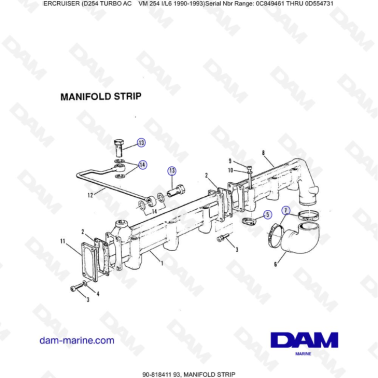 Mercruiser D254 TURBO AC - MANIFOLD STRIP