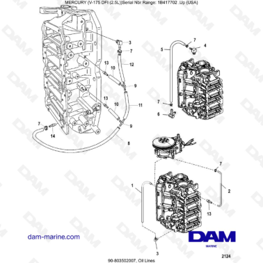 MERCURY MARINER 175 OPTIMAX - Oil Lines