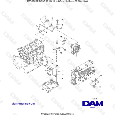 Mercruiser CMD 1.7L MS - Oil and Vacuum Hoses