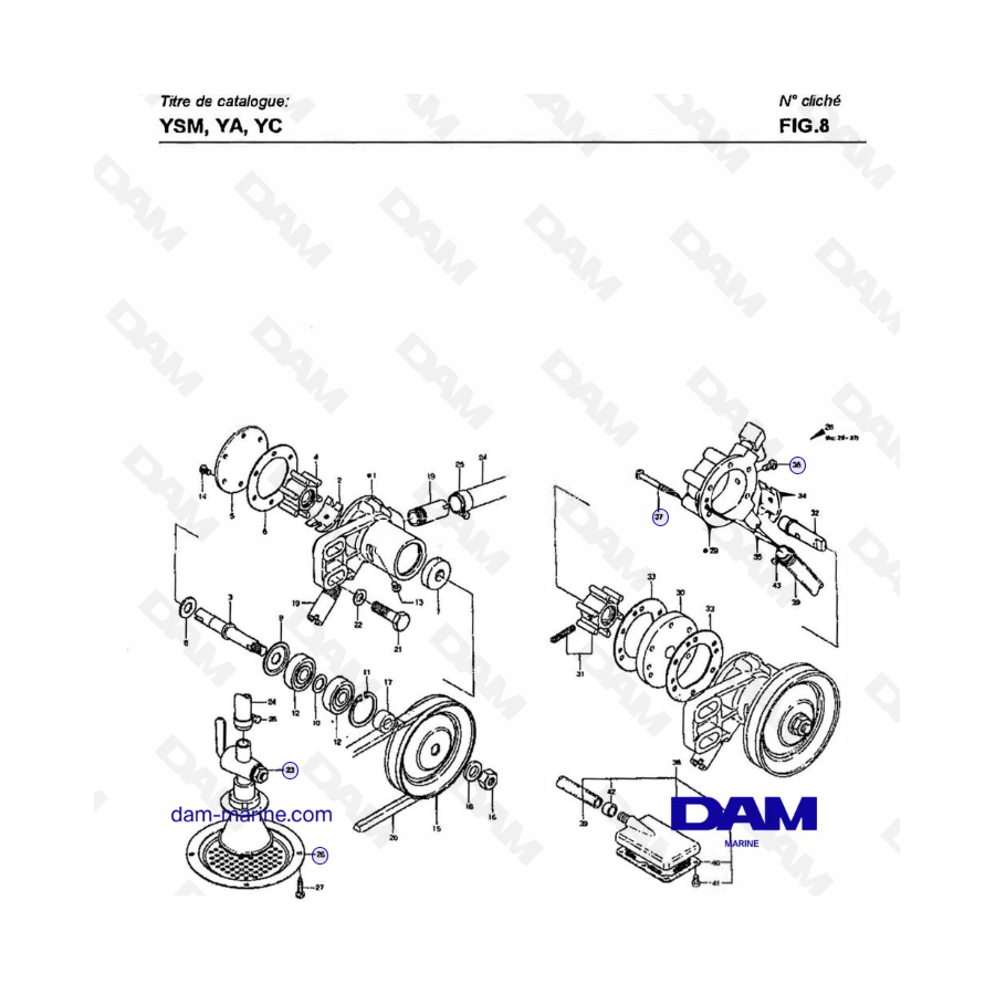 Yanmar YSM8 / YSM12 - BOMBA DE AGUA DE REFRIGERACIÓN, BOMBA DE SENTINA Y GRIFO KINGSTON