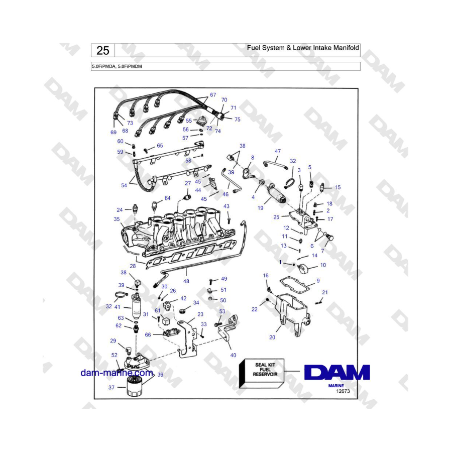 Volvo Penta 5.0L FI - Fuel System & Lower Intake Manifold