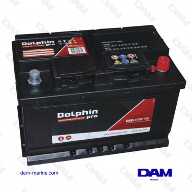 BATTERIE DOLPHIN PRO 60A