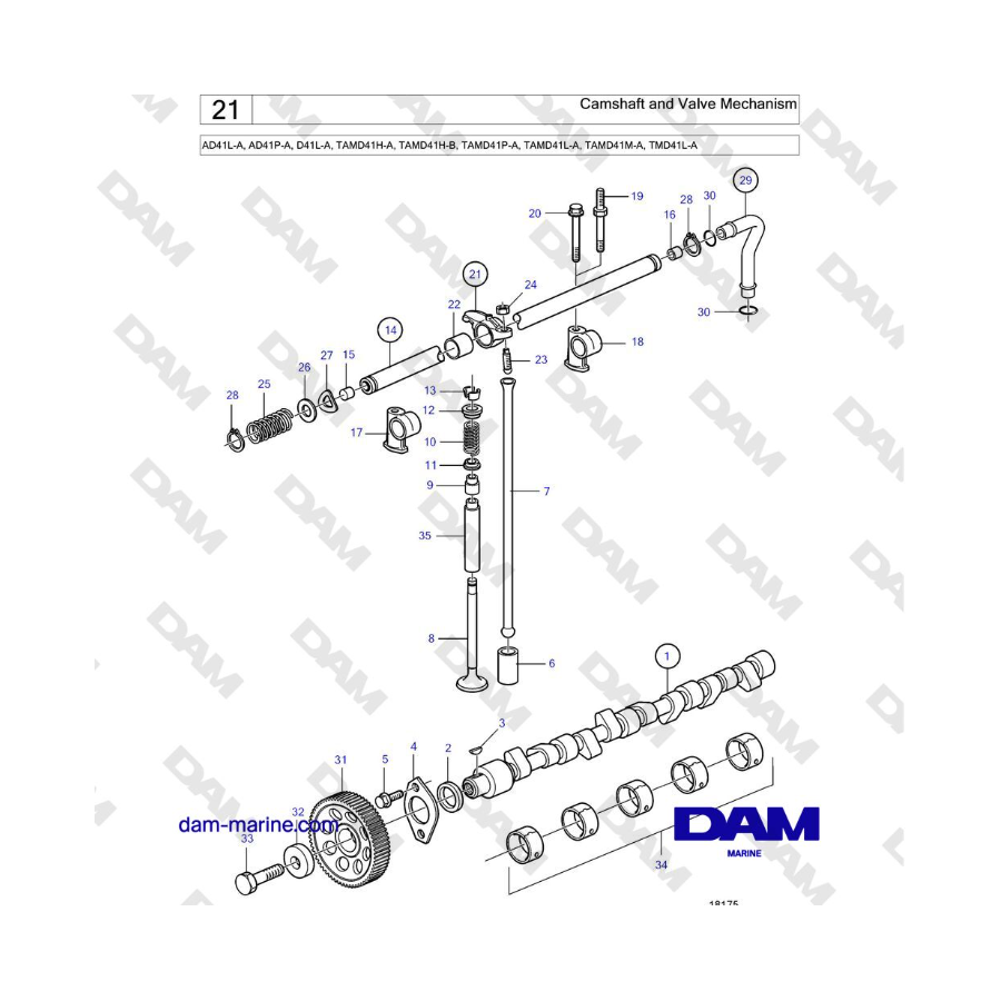 Volvo Penta AD41L-A/AD41P-A/D41L-A/TAMD41H-A/TAMD41H-B/TAMD41P-A/TAMD41L-A/TAMD41M-A/TMD41L-A - Camshaft and Valve Mechanism