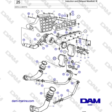 Volvo Penta AD31L-A, AD31P-A - Induction and Exhaust Manifold: B