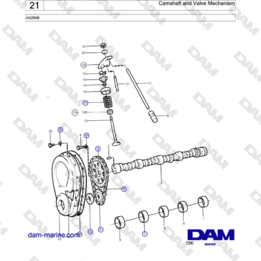 Volvo Penta AQ260B - Camshaft and Valve Mechanism