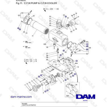 Yanmar 2QM20 - BOMBA Y...
