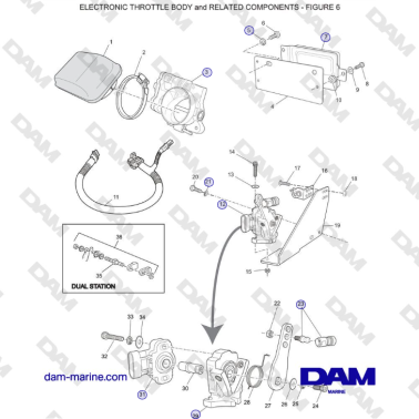Crusader MP 8.1L (2006 MY)...