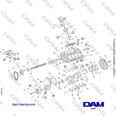 Crusader 5.7L Carburatore...