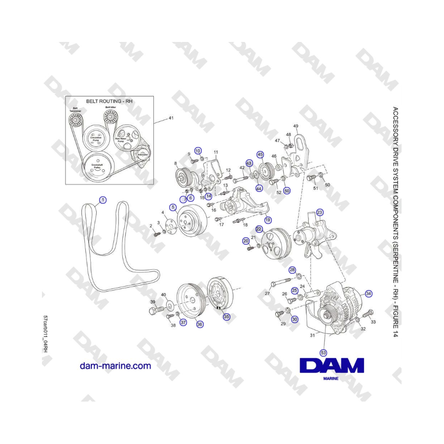 Crusader 5.7L Carburatore Serie Classica (2006-2007 MY) - COMPONENTI DEL SISTEMA DI AZIONAMENTO ACCESSORIO (SERPENTINO - DESTRO)