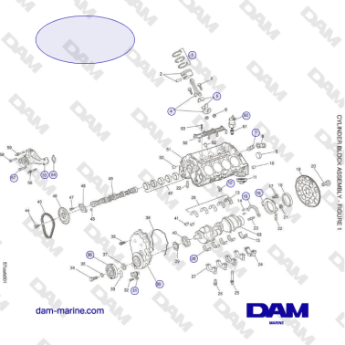 Crusader 5.7L Carburatore...