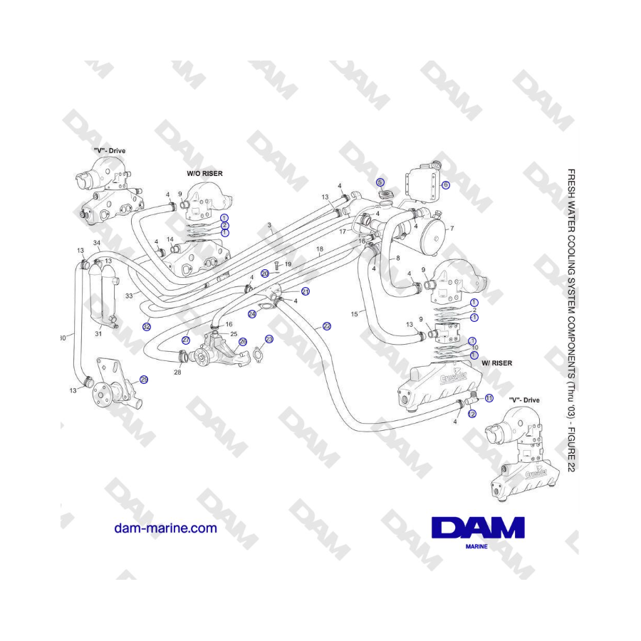 Crusader 5.7L Carburatore Serie Classica (1999-2005 MY) - COMPONENTI DEL SISTEMA DI RAFFREDDAMENTO AD ACQUA DOLCE (fino al 2003)