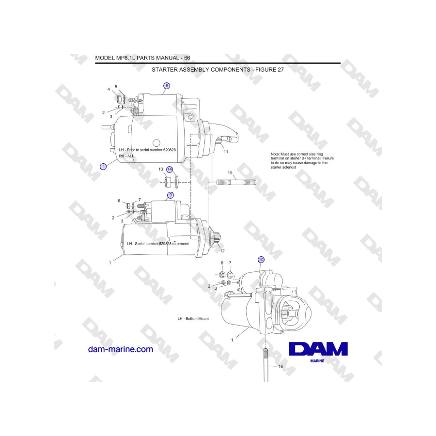 Crusader MP8.1L 2001-2005 MY - COMPONENTES DEL CONJUNTO DE ARRANQUE