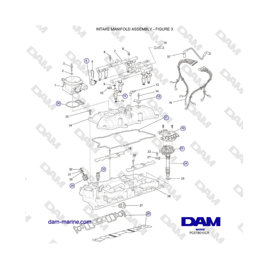 Crusader 5.0L / 5.7L 2002-2005 MY - CONJUNTO DE COLECTOR DE ADMISIÓN