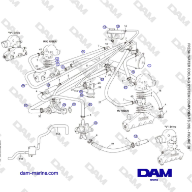 Crusader 5.0L / 5.7L...
