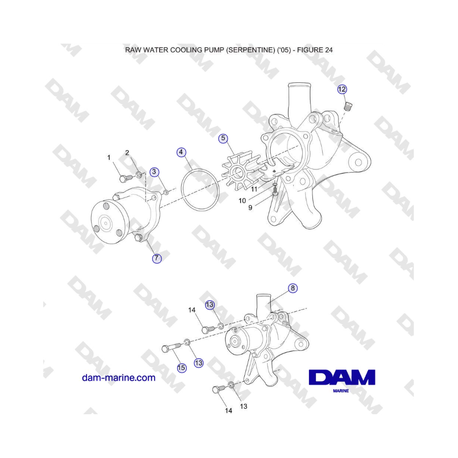Crusader 5.0L / 5.7L Año modelo 2002-2005 - Bomba de refrigeración de agua cruda (serpentina) (2005)