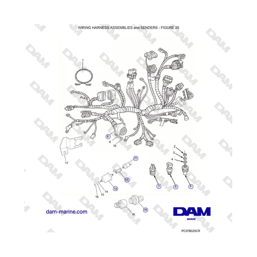Crusader 5.0L / 5.7L 2002-2005 MY - CONJUNTOS DE ARNÉS DE CABLEADO y SENSORES