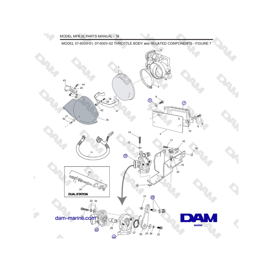 Crusader MP6.0L SN 670001 - MODELLO 07-600V-01, 07-600V-02 CORPO FARFALLATO e COMPONENTI CORRELATI