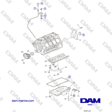 Crusader MP6.0L 2004-2005...