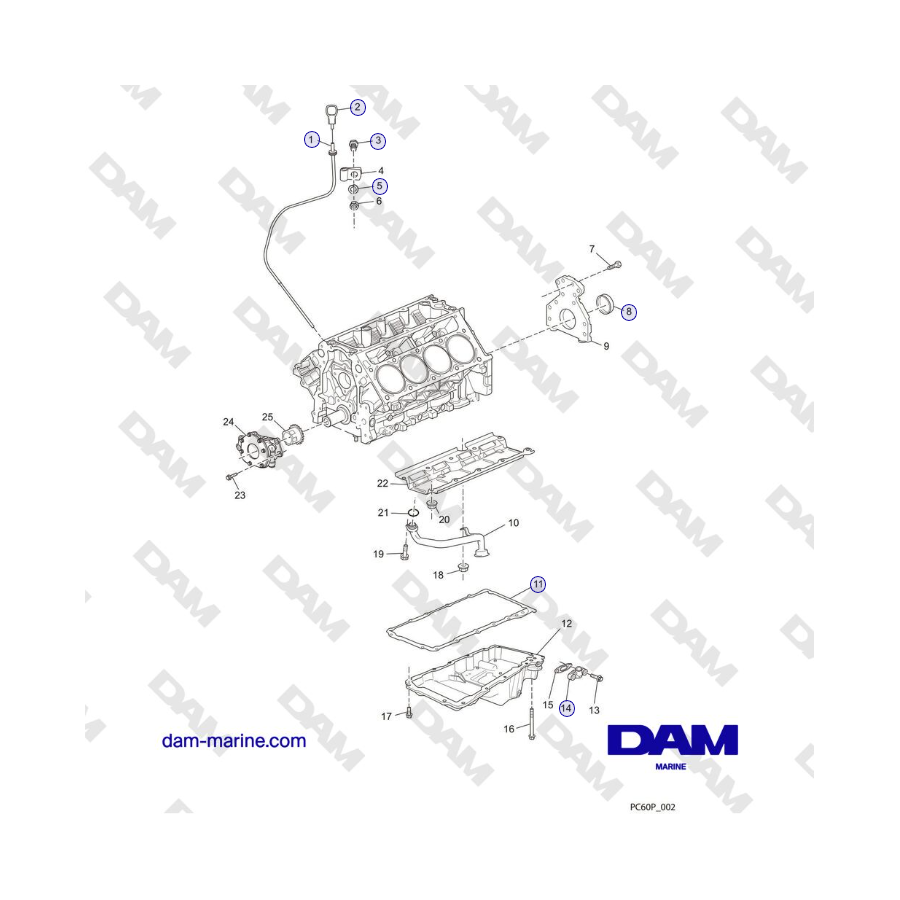 Crusader MP6.0L 2004-2005 MY - CONJUNTO DE CÁRTER DE ACEITE Y BOMBA DE ACEITE