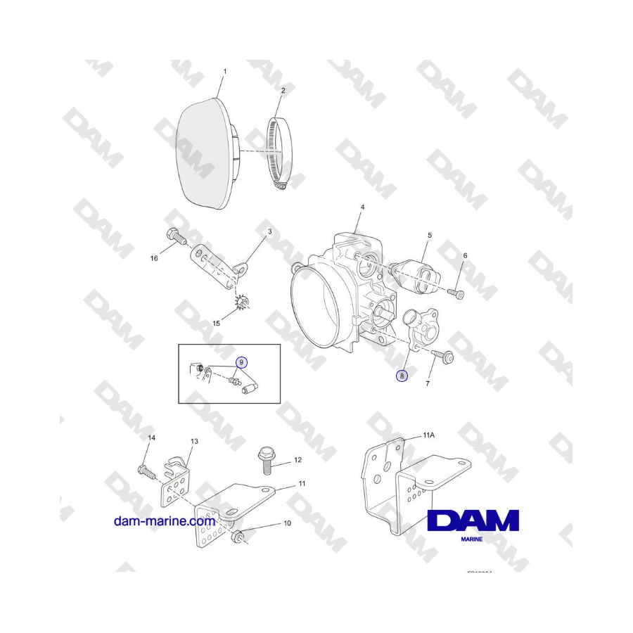 Crusader MP6.0L 2004-2005 MY - CORPO FARFALLATO e COMPONENTI CORRELATI