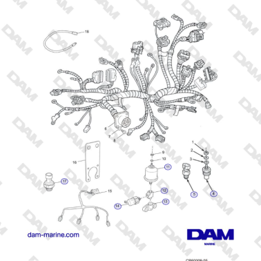 Crusader MP6.0L 2004-2005...