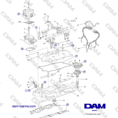 Crusader MP5.0 / 5.7L 2006...