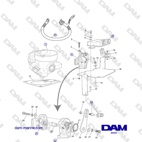 Crusader MP5.0 / 5.7L 2006 MY - THROTTLE BODY and RELATED COMPONENTS